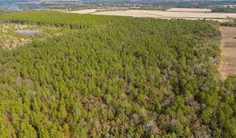 N Bob Brooks Road, Baker, FL 32531