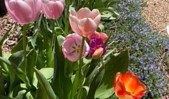 1111 Utica Cir, Boulder, CO 80304