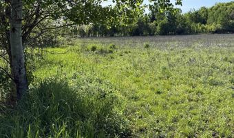 EAU CLAIRE RIVER ROAD lot 3, Aniwa, WI 54408