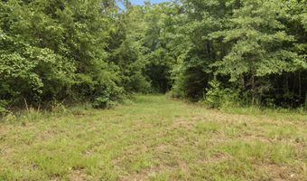 115355 115353 CR 2501, Alto, TX 75925