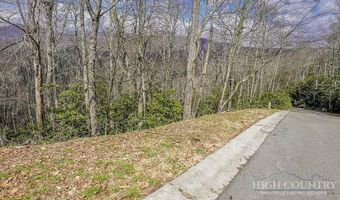 TBD Lot # 46 Woodlily Drive, Banner Elk, NC 28604