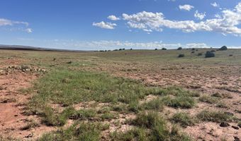 1342 County Road 5020, Concho, AZ 85924