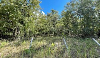 55 Th St, Bell, FL 32619