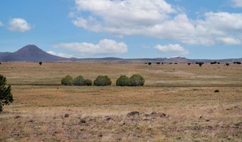 000- B1 Kirby Ln, Ash Fork, AZ 86320