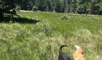 Lot 40 Ab Hidden lake Circle, Angel Fire, NM 87710