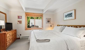 901 E Hyman Ave 13, Aspen, CO 81611