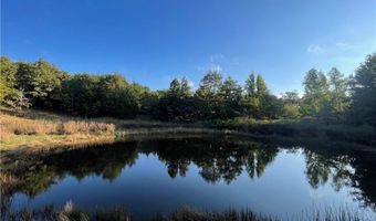 10 Acres CR 9204, Alpena, AR 72611