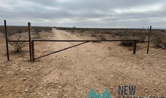 1327 Mcfarland Rd, Carlsbad, NM 88220