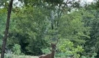 11336 251st St, Beggs, OK 74421