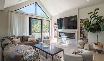 1154 E Cooper Ave B, Aspen, CO 81611