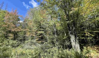 00 Marshall Newland Rd, Burke, VT 05832