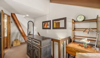 125 E Hyman Ave 1A, Aspen, CO 81611