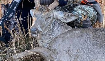 001 CR 532, Avalon, MS 38917