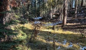 550 Cabbage Patch Log Rd, South Lake Tahoe, CA 95223