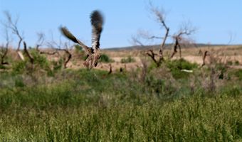 Stagecoach Spur W unit 935-3 935-3, Belfry, MT 59008