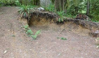 10286 RIDGE VIEW Ter, Birkenfeld, OR 97016