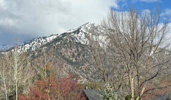 450 GREYS RIVER Loop, Alpine, WY 83128