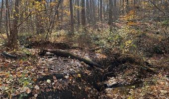 9- D Richmond Hwy, Amherst, VA 24521