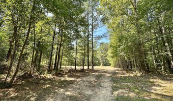 1 Champion Hill Rd, Bolton, MS 39041