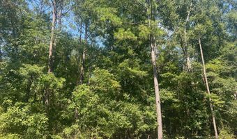 203 Pebble Cove Rd, Abbeville, AL 36310