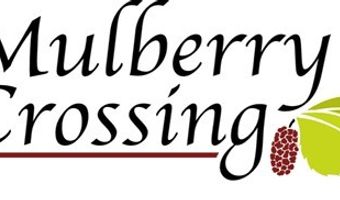 68 Mulberry Crossing Ct, Cataula, GA 31804