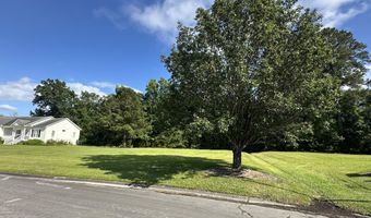 98 Carolina Way Lot 77, Arapahoe, NC 28510