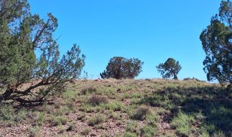 268 N 5383, Concho, AZ 85924