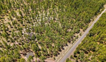 98 County Road 2266, Alpine, AZ 85920