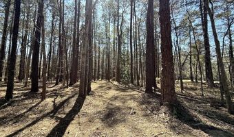 0 Lot 2 Creek Place Rd, Arapahoe, NC 28510