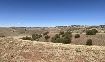 Tbd County Road N5335, Concho, AZ 85924