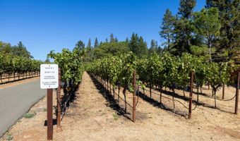 875 White Cottage Rd N, Angwin, CA 94508