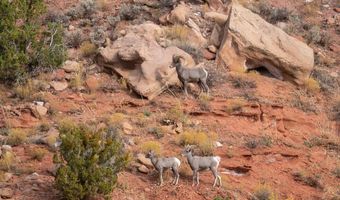 E Rnch RD, Apple Valley, UT 84737