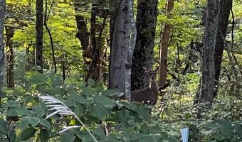 43 Sanctuary Ln, Alderson, WV 24910