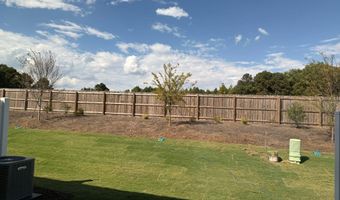 66 Bloodroot St, Angier, NC 27501