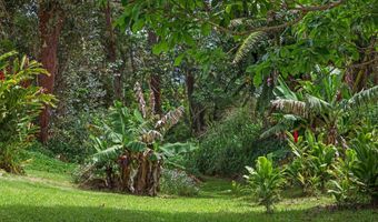 4535 Opana Pl A, Haiku, HI 96708