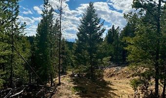 NHN Perkins Gulch Road, Anaconda, MT 59711