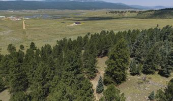 9 Buckskin Rd, Angel Fire, NM 87710