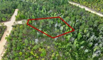 CASTLE CIRCLE, Alford, FL 32420