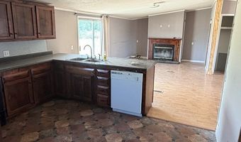 954 NE Robinson Rd - Tract #1, Barney, GA 31625