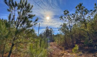 0 County Road 25, Reform, AL 35481