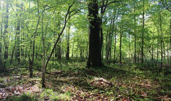 104 Th Ave, Allegan, MI 49010