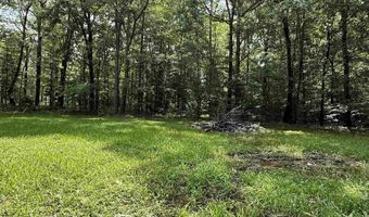 119 N Taft St, Benton, AR 72015