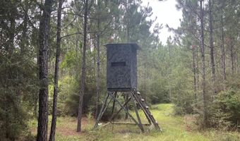 259 Forest Lake Rd, Beaumont, MS 39423