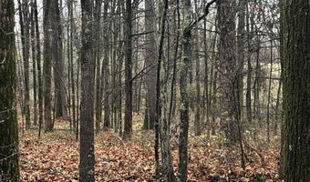 67 Old Wire Rd, Atkins, AR 72823