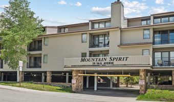 39 Vail Ave 209, Angel Fire, NM 87110
