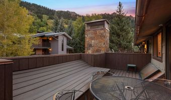 650 S Monarch St 4, Aspen, CO 81611