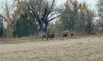 4301 W County Road 4, Berthoud, CO 80513