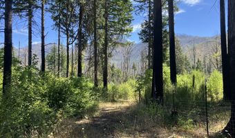 Blue River Dr, Blue River, OR 97413