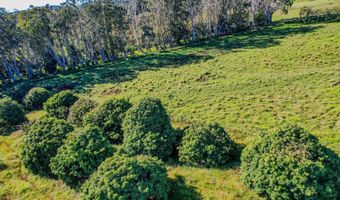 29-613 CHIN CHUCK Rd, Hakalau, HI 96710