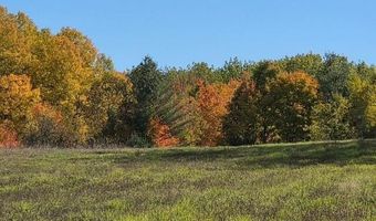 9606 MUNGER Rd, Afton, MI 49705